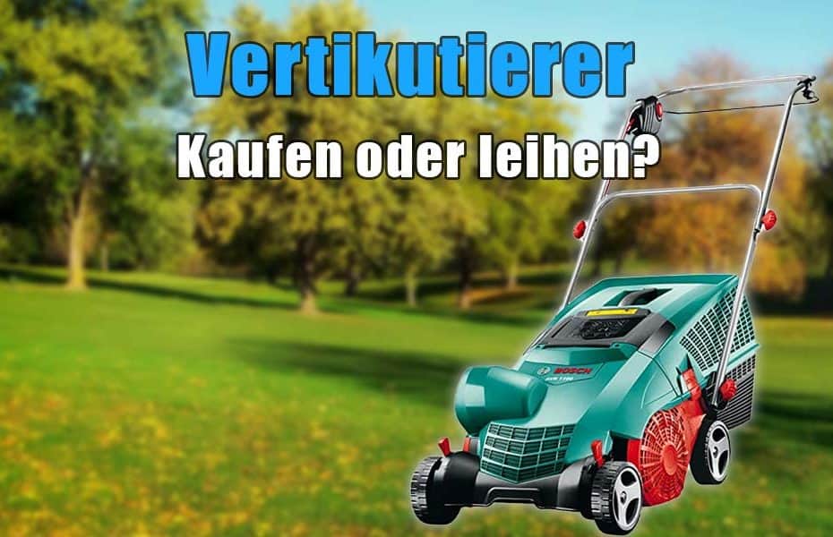 Vertikutierer Kaufen Oder Leihen Und Welchen Vertikutierer Brauche Ich 